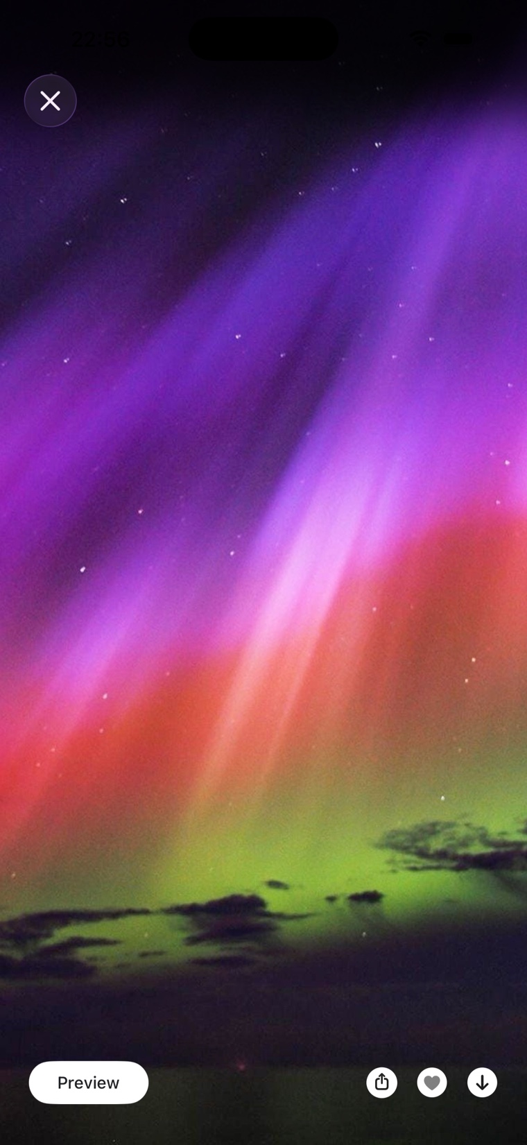 Full-screen wallpaper preview with one-tap download and favorite